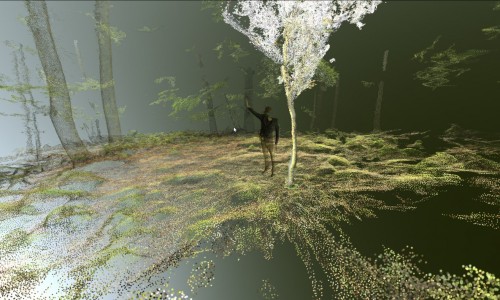 VIRTUAL FOREST